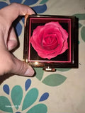 User picture 5